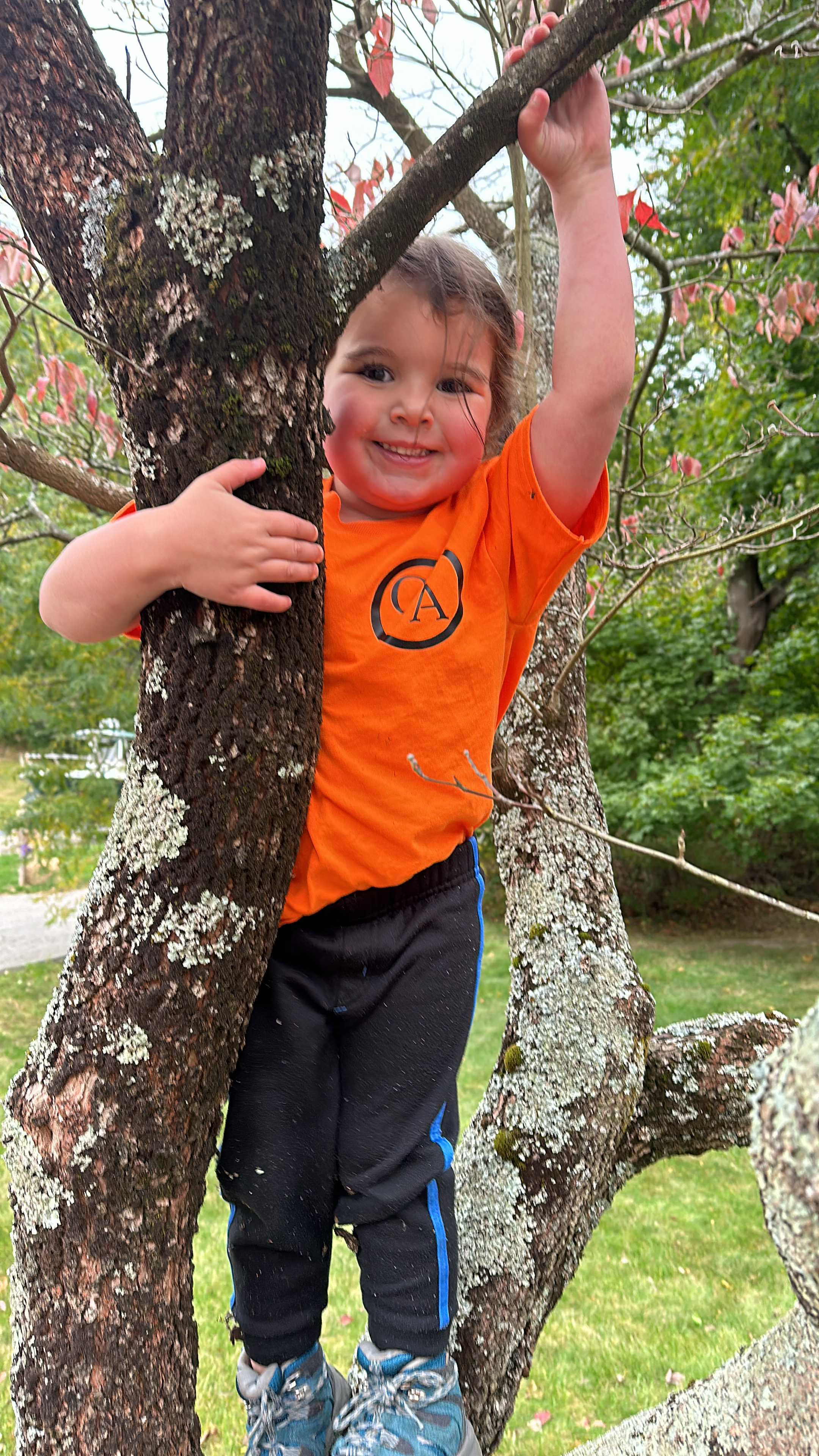 A younger child in a Geddis Arborists t-shirt climbing the same tree