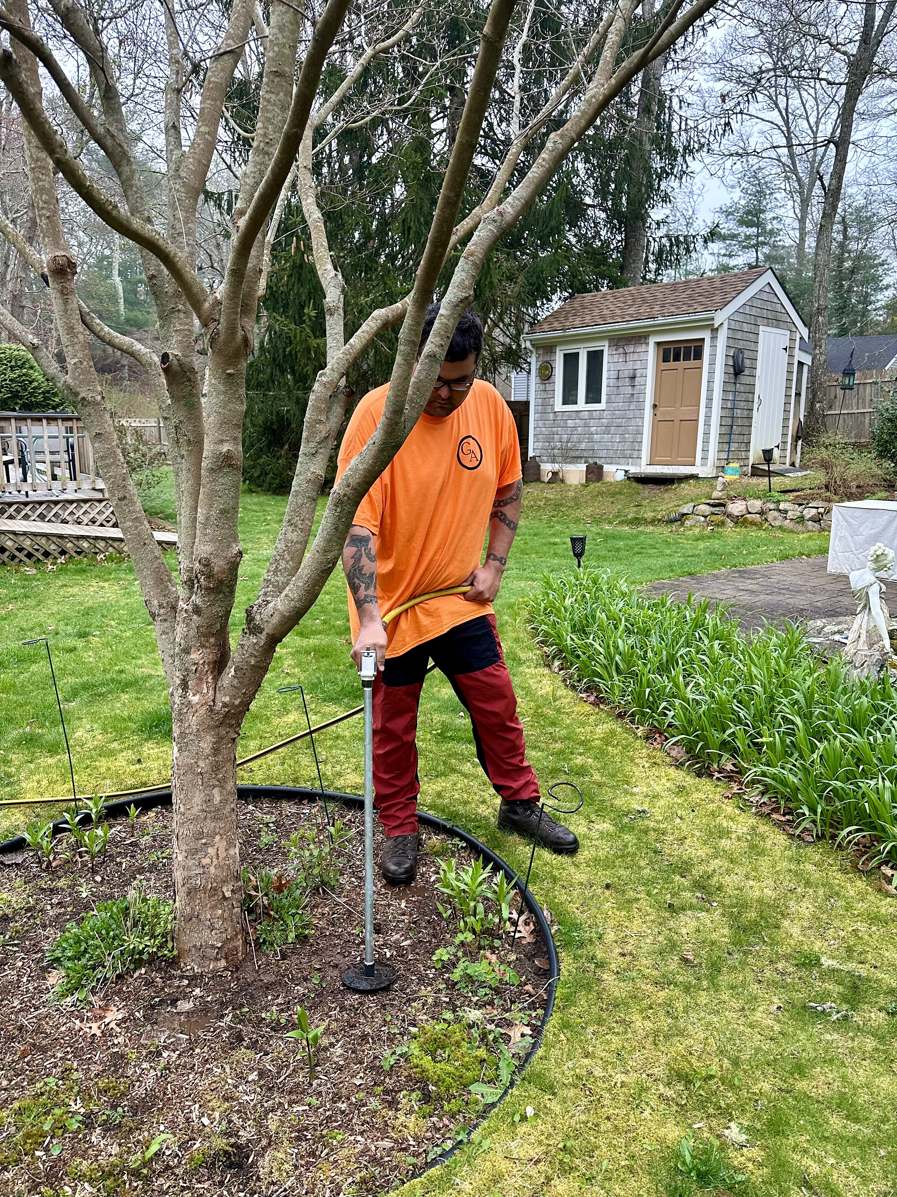 Geddis Arborists team member caring for soil around a residential tree